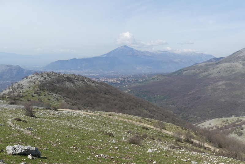 Dactylorhiza romana e prime fioriture tra Lazio e Campania - marzo 2023.